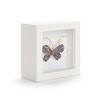 DEMDACO Wall or Tabletop Shadow Box, Everyday Home Décor, 4
