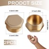 2 x brass plugs, 1 inch male thread, sealing plug