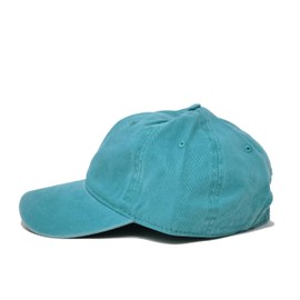 Loon Loons embroidered dad cap hat, embroidered baseball cap, custom hat, custom cap, cool gift (AQUA)