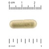 Codeage, Liposomal Vitamin C+, Veggie Capsules 180 tablets / Codeage