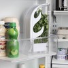 Il Pregio Fresh Herb Keeper and Storage Container - Premium