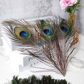 Wisafory Pack of 25 Artificial Peacock Feathers for Crafts, Natural Peacock Tail Feathers, Decoration with Eye Feathers, Craft Feather for DIY Craft, Hats, Costume, Wedding, Party, Home Decoration,