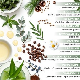 Botanical Green Care Tea Tree  Eucalyptus Champú De Cafeína Sin Sulfatos, Shampoo Anti-Adelgazamiento, Champú Espesante Para Adelgazamiento Del...    