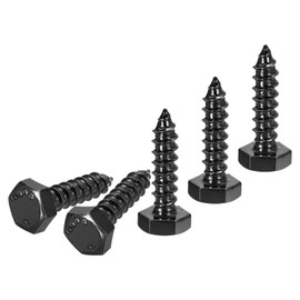 DTGN 1/4" x 1" Hex Lag Bolts - 25 Pack - for Woodworking, Furniture - 304 Stainless Steel Full Thread Hexagon Head Lag Screws for Wood - Black