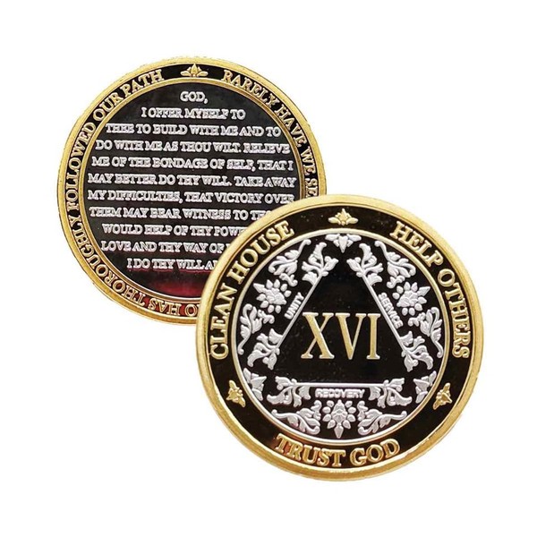 MyRecoveryStore Silver&Gold 1-50 Years Alcoholics Anonymous Medallion AA Coin Capsule