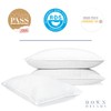 Down Dreams Manchester Mills Classic Pillows - King/Medium Support 2-Pack
