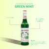 MONIN Green Mint Syrup, Green Mint, 8.5 fl oz (250ml)