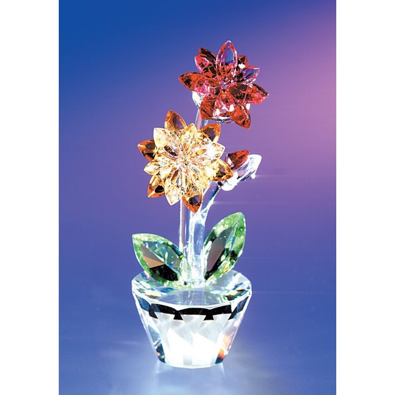 Crystal World "Gerbera