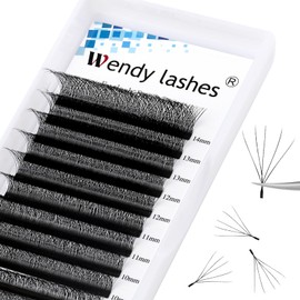 W Lash Extensions 5D Premade Fans Volume Lashes Mix8-14 0.07mm D Curl W-Shaped Lashes Refine the Roots of the Lashes and Extend 3 Tips Eyelash Extensions(5DW-0.07-D-814)