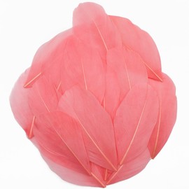 50 Pcs Watermelon Red Craft Feathers, Natural Assorted Colors Goose Feathers for Hats, 2-3 Inch Small Feathers for Crafts, DIY Christmas Hallowmas Thanksgiving Mask Centerpiece Feather