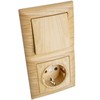 Günsan Visage Socket Switch Combination Flush-Mounted Oak Wood Look 16A