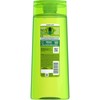 Garnier Fructis Shampoo Dry to Very Dry Hair, Triple Nutrition,