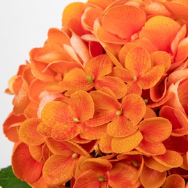Hollyone Fall Hydrangea Artificial Flowers for Decoration Orange Hydrangea Artificial Flowers in Vase Latex Real Touch Fall Flower Arrangements Fake Hydrangeas with Faux Water Autumn Centerpiece Decor