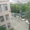 Pack of 30 Dragonfly Prism Window Stickers for Bird Strikes