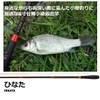 Daiwa Hinata Mountain Stream Rod, 2.4 inches (2 x 4