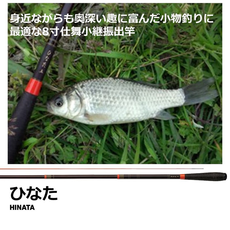 Daiwa Hinata Mountain Stream Rod, 2.4 inches (2 x 4