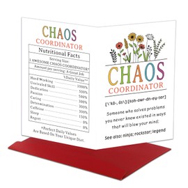 Raddimelo Chaos Coordinator Cards, Leadership Gifts, Cards for Coworkers, Thank You Cards for Leader Coworkers, Boss Gifts for Women, Boss Day Gifts for Boss Boss Lady Leader, Birthday Gifts