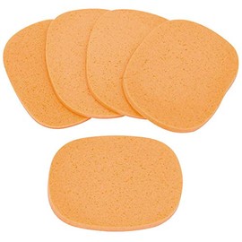 Sponge, Standard, 10 Pieces