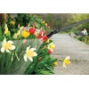 Solo 430-1G 1-Gallon Handheld Farm and Garden Sprayer, with Shut-off
