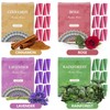 SCENTORINI Incense Cones, Assorted Scented Incense Cones with Holder, Incense
