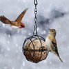Fat Ball Bird Feeder,Ompinda 4 Pack Metal Hanging Bird Suet