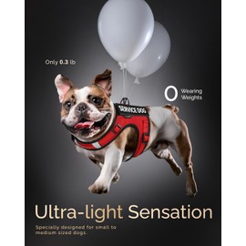 FAYOGOO Service Dog Vest for Small Dogs - Air Mesh Breathble Emotional Support Animal Vest with DIY Patches - Puppy Harness and Leash Set Adjustable Neck and Chest