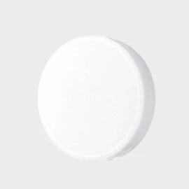 DAISO Shingmulwon Flora Nosebum Powder 4g