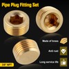 LEONTOOL NPT Male Pipe Plug Fitting Set 3/8" 10pcs Brass