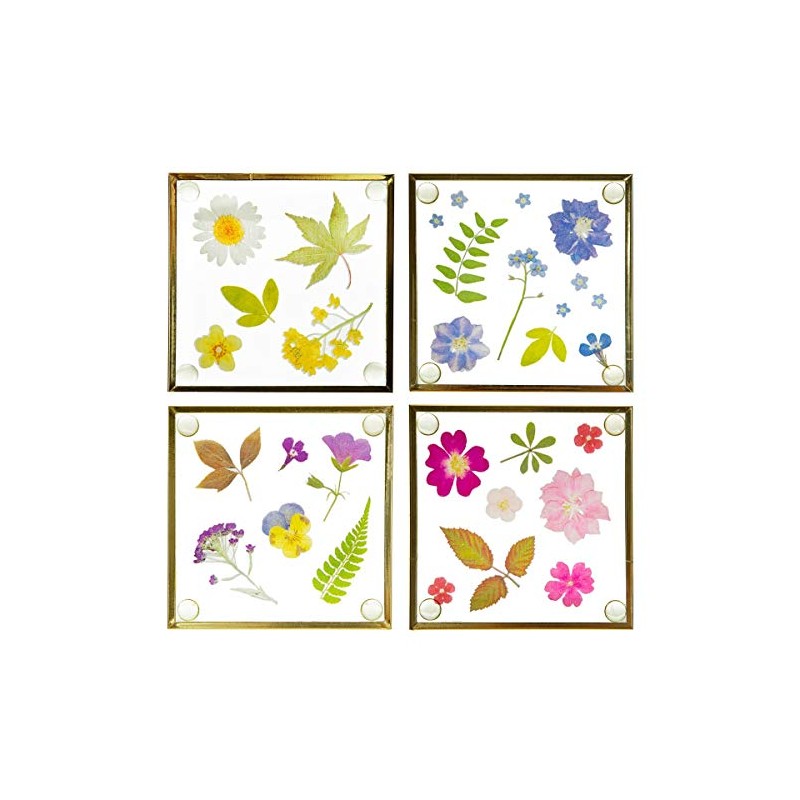 Sass & Belle Flower Print Glass Coasters