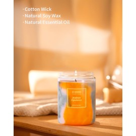 HZ-WONMIO Scented Candles | Black Currant & Olive Candle |Soy Wax Jar Candle| Extra Strong and Long Lasting Scented Candles| Holiday Aromatherapy Candle | Birthday Gifts for Women|9.5oz 80 Hour Burn