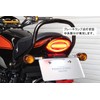 POSH 132290-96 Motorcycle LED Tail Lamp, Luminous LED Tail Lamp