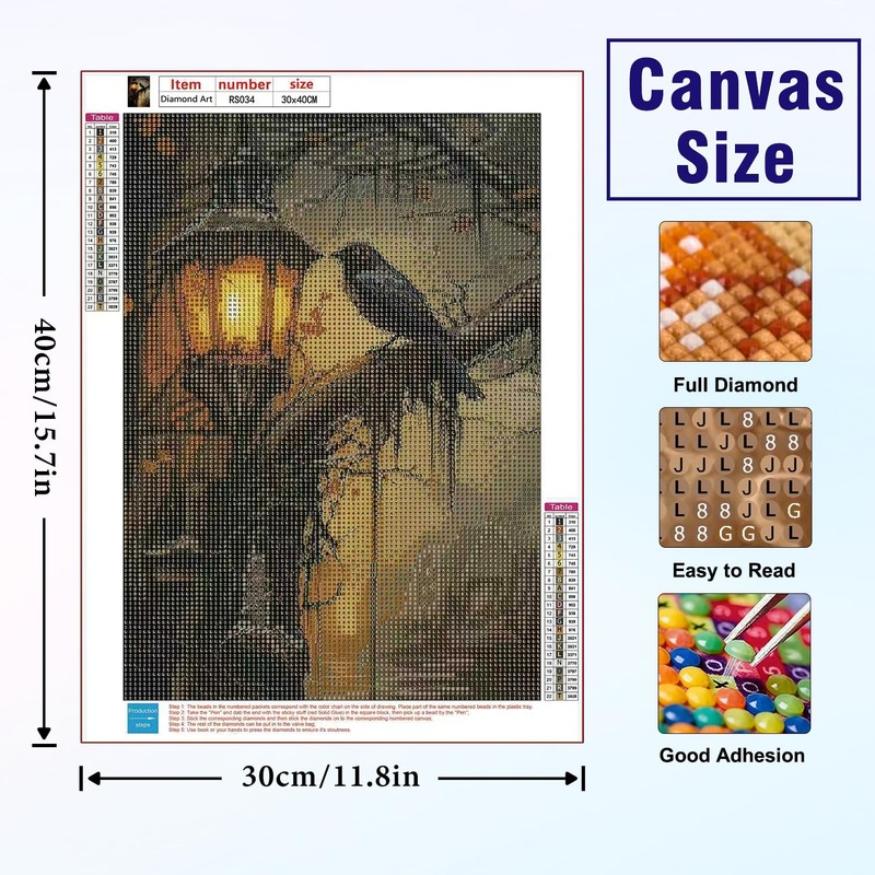 Gothic Crow Diamond Art Kits for Adults, Arts and Crafts