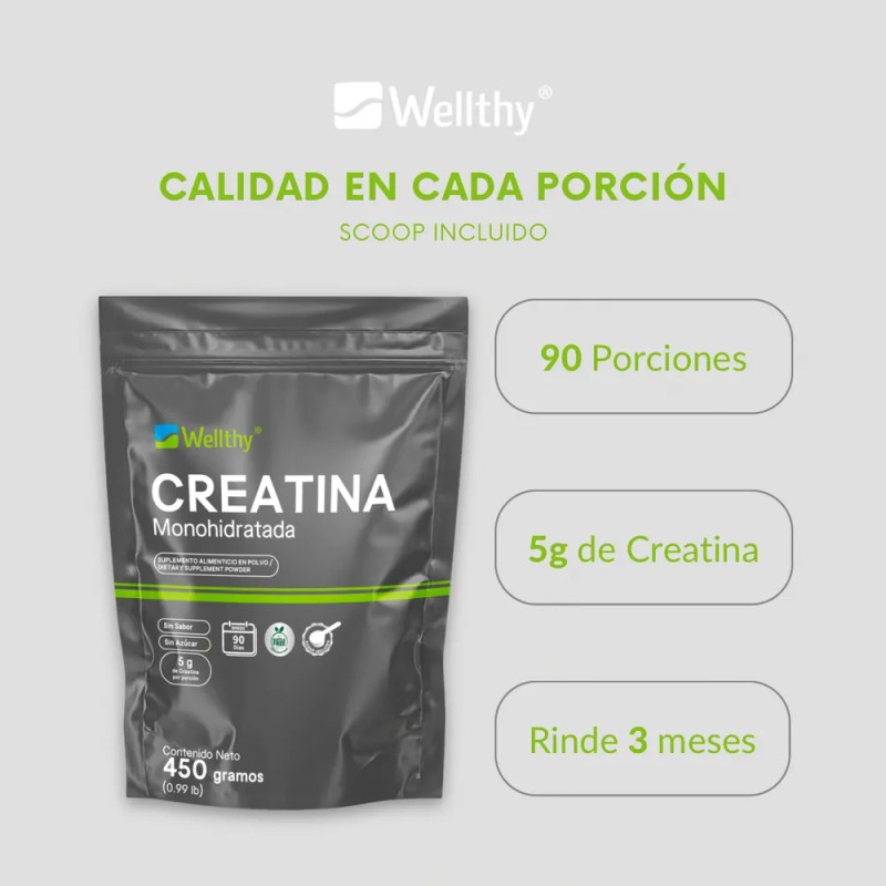 Creatina Monohidratada 450 Gr Wellthy 90 Porciones Sabor Sin Sabor