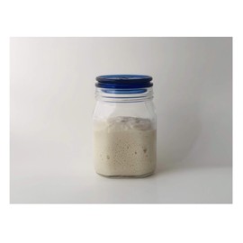 Organic Teff Gluten Free Sourdough Starter Culture