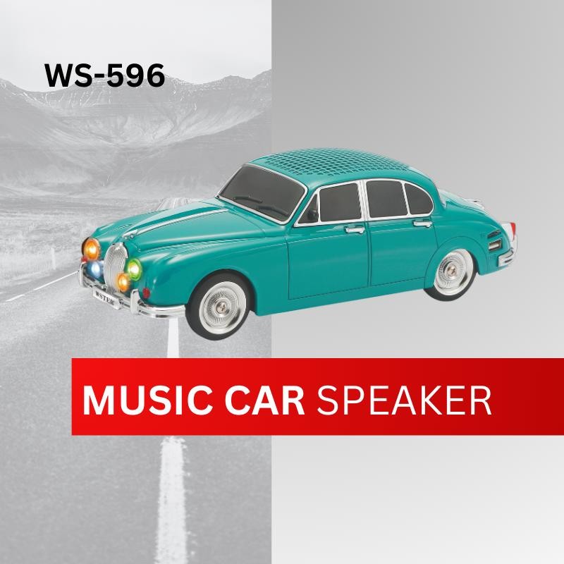 Wireless Speaker with Rechargeable Battery/ Car elegant Design/ FM RADIO/