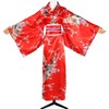 Women's Japanese Kimono Costume Traditional Geisha Robe Anime Printed Bathrobe