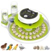Quail Egg Incubator for Hatching 40 Quail Eggs with Automatic
