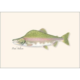 Earth Sky + Water - Salmon Assortment Notecard Set - 8 Blank Cards with Envelopes (2 each of 4 styles)