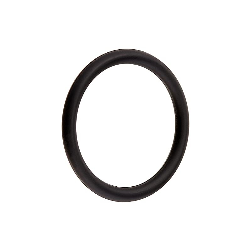TOTO O Ring TH93212E