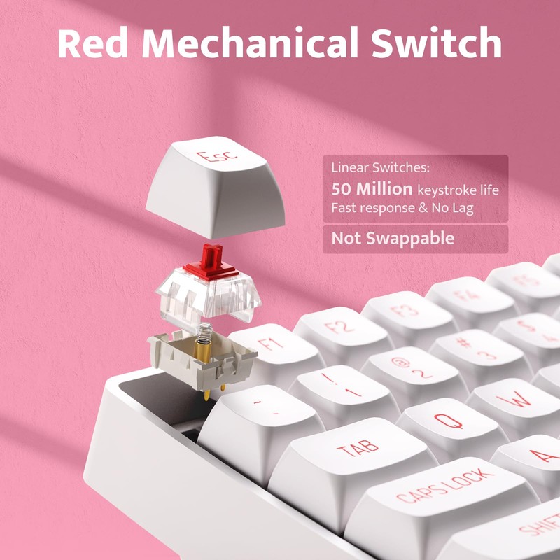 darkFlash Wireless Mechanical Keyboard and Mouse for Office, 106 Keys