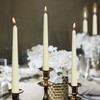 BOLSIUS Ivory Taper Candles - 10 Pack Unscented 10 Inch