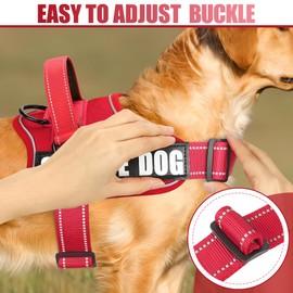 Dog Vest Harness and Leash Set, Animire Reflective Service Dog Vest in Training Dog Harness with 10 Patches, 3 Rings Emotional Support Therapy Dog Harness for Small Medium Large Dogs(Red,S)