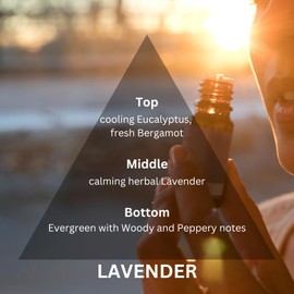 Natscent Plug & Play Lavender Essential Oil Refill for Gizmo Waterless Diffuser, Glass Bottle Replacement, Lavender Essential Oil for Diffuser for Home, Bathroom, Office, Classroom – 2.7 oz. (Pink)