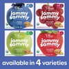 Plum Organics Kids Jammy Sammy Apple Cinnamon & Oatmeal, 1.02
