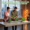 XLTXWD 4Pcs Reptile Accessories, Vivarium Decoration with Three Artificial Plants,