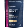 Silica Supplement 500mg | High Strength Silica from Horsetail Extract