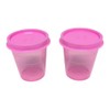 Tupperware Fridge Gnome Midgets 60 ml Mini Set of 2