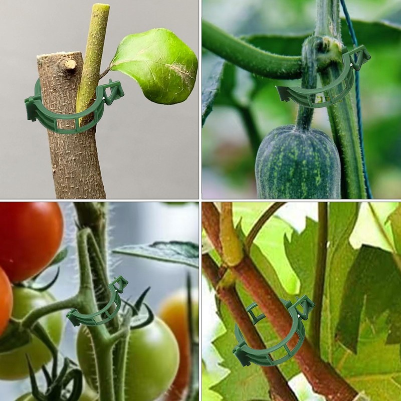 Pack of 250 Plastic Tomato Clips, Tomato Clips, Connecting Plant