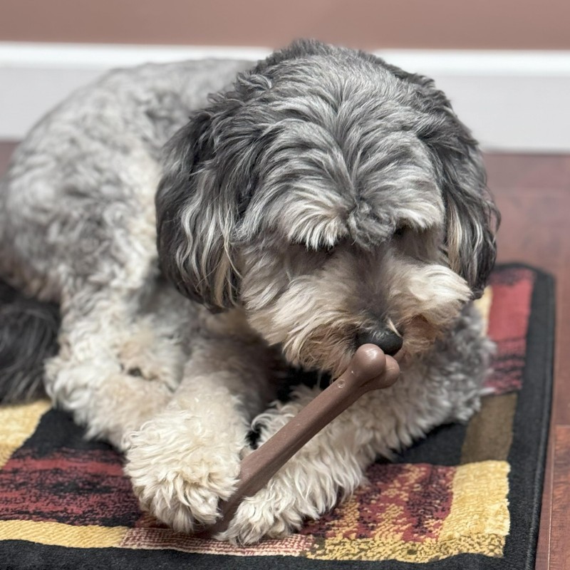 SPOT Bam-Bones Bone - Made with Strong Bamboo Fiber, Durable