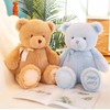 HUGZ Teddy Bear Plush toy, Stuffed Teddy Bear Animal, Cuddly